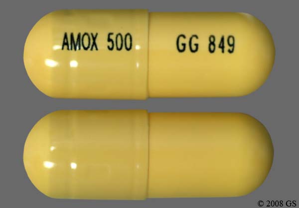 Amoxicillin MK Trihydrate 500 mg
