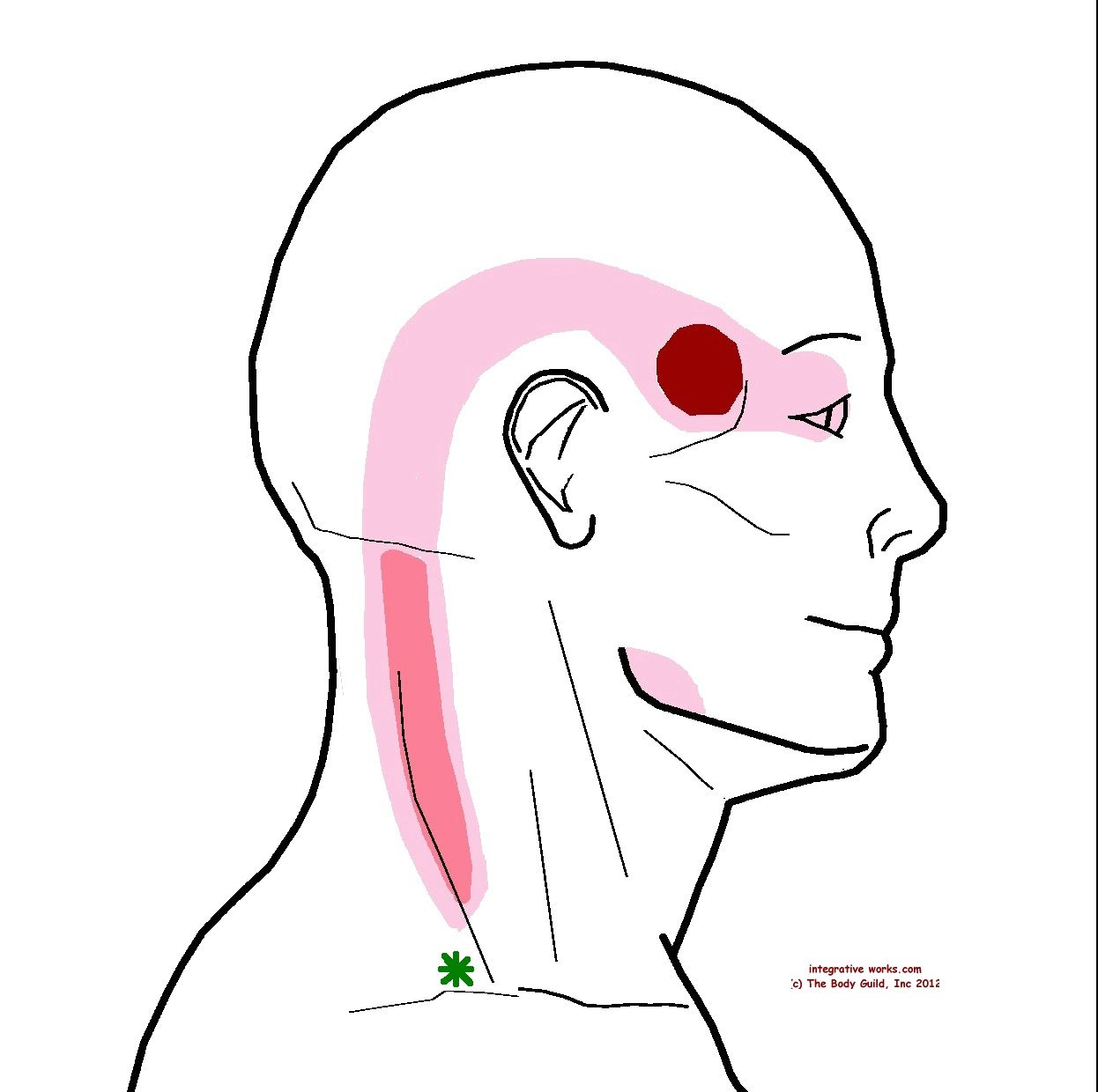 sudafed sinus and headache