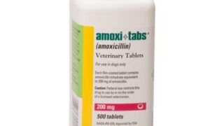 amoxicillin for cats without vet prescription